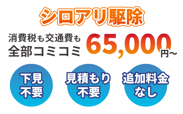 シロアリ駆除 消費税も交通費も全部コミコミ65,000円～下見不要 見積もり不要 追加料金なし